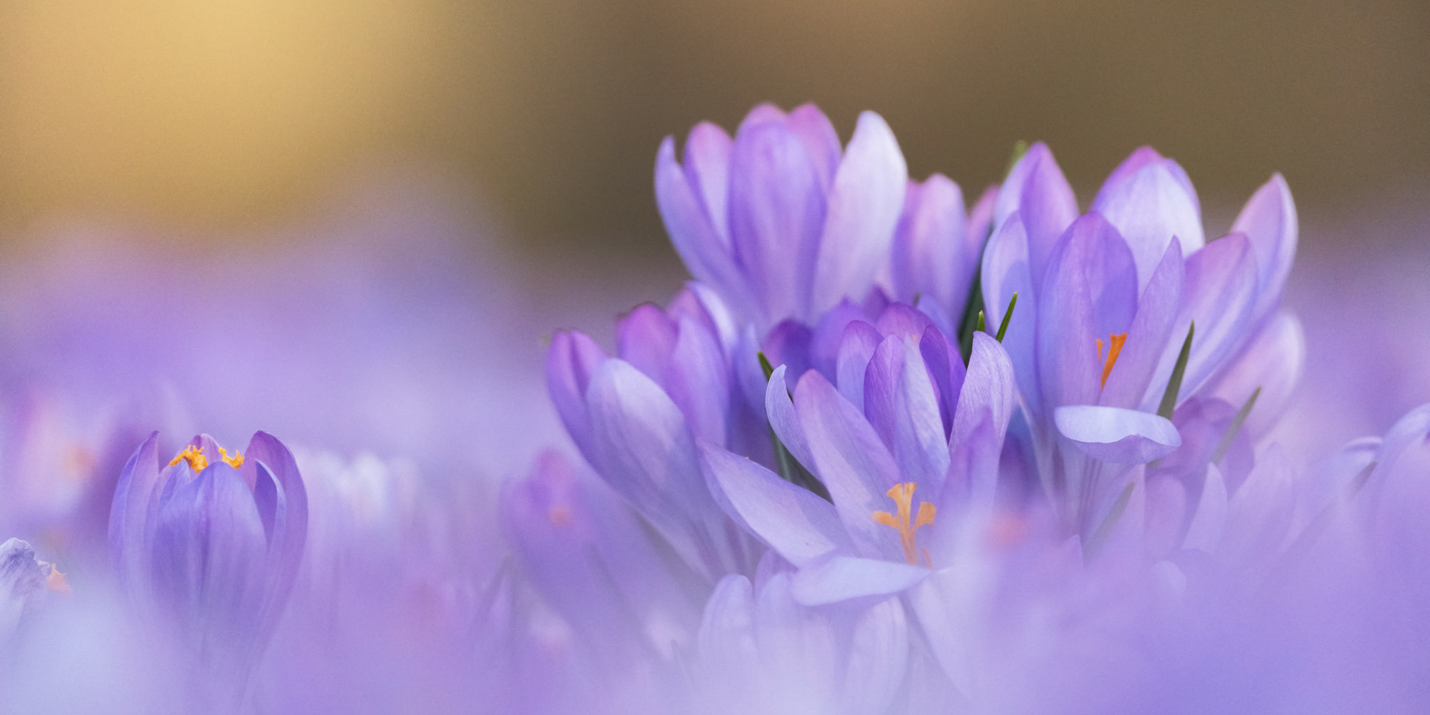 81. Photowalk Sächsische Schweiz