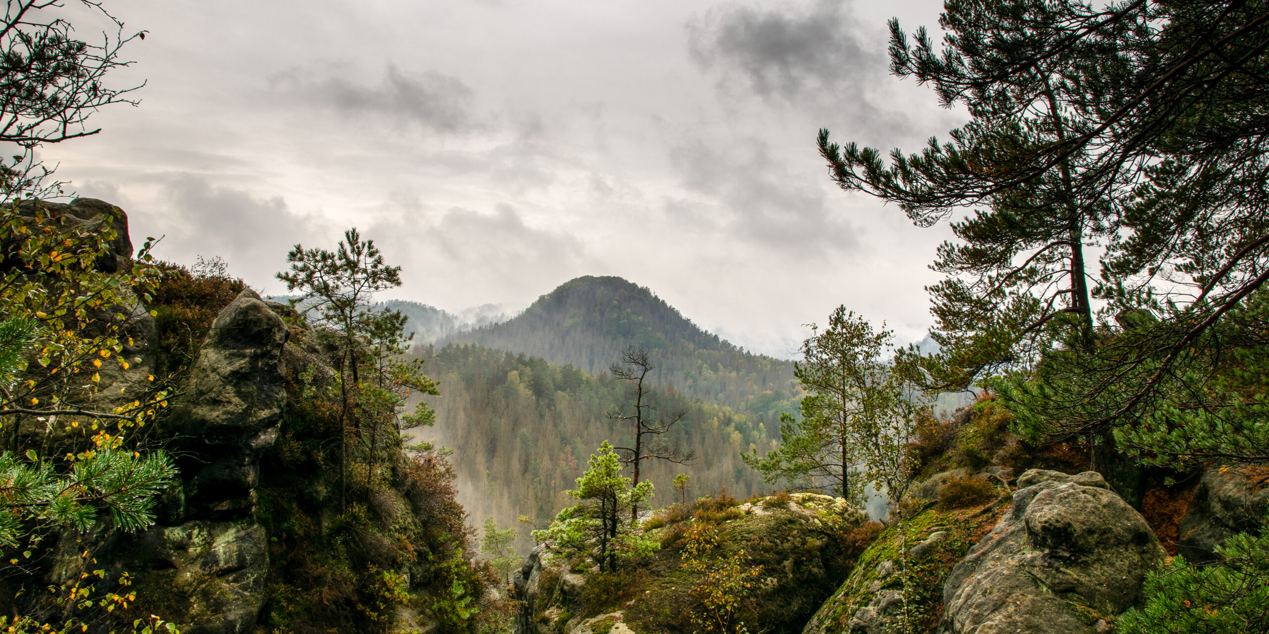 83. Photowalk Sächsische Schweiz